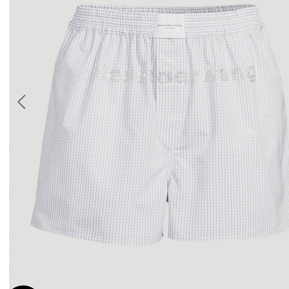 Alexander Wang Light Blue Checkered Shorts